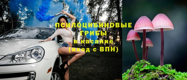 мяу мяу мука Арсеньев