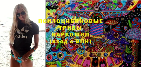 мяу мяу мука Арсеньев